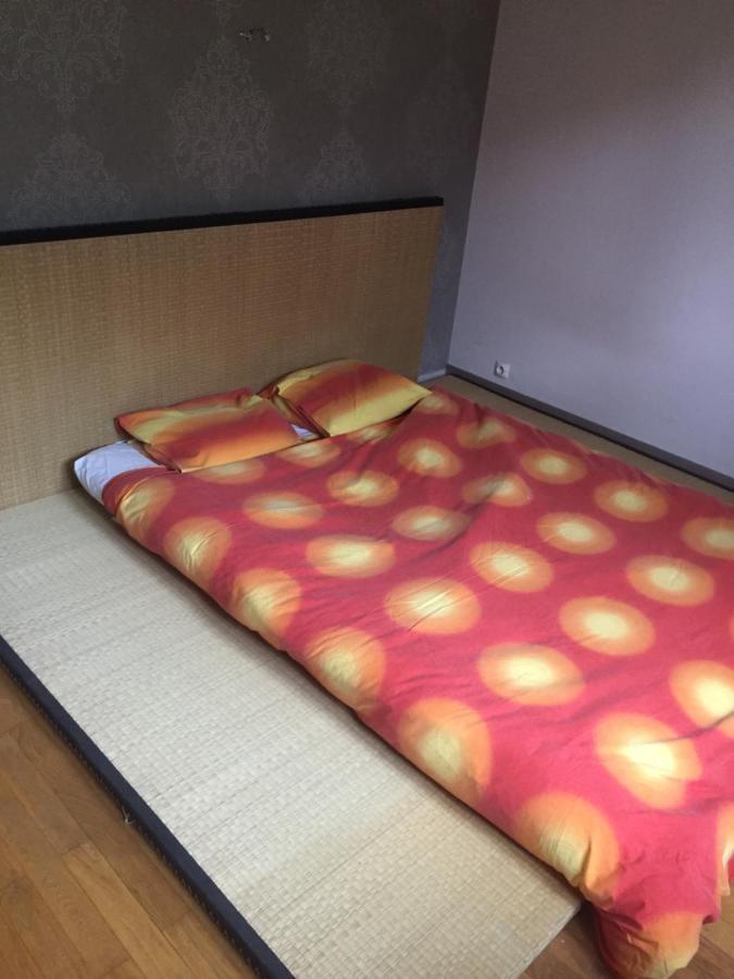 Chambre Double Futon Et Chambre Classique Au Coeur Du Vercors Saint-Agnan-en-Vercors Dış mekan fotoğraf